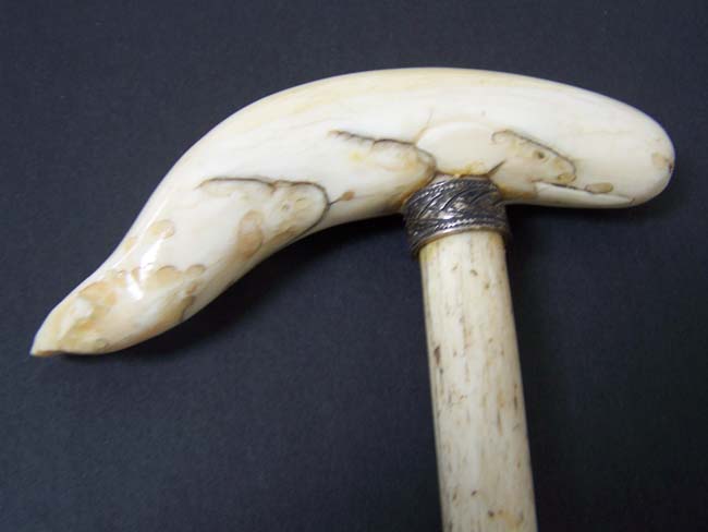 A 19th century ANTIQUE Whalebone Walking Stick with Whale Ivory Handle in the form of a Sperm Whale — image 3